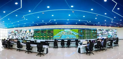 金鼎鋼鐵 以信息技術研發之“綠”，鑄就發展底色中的別樣“紅”